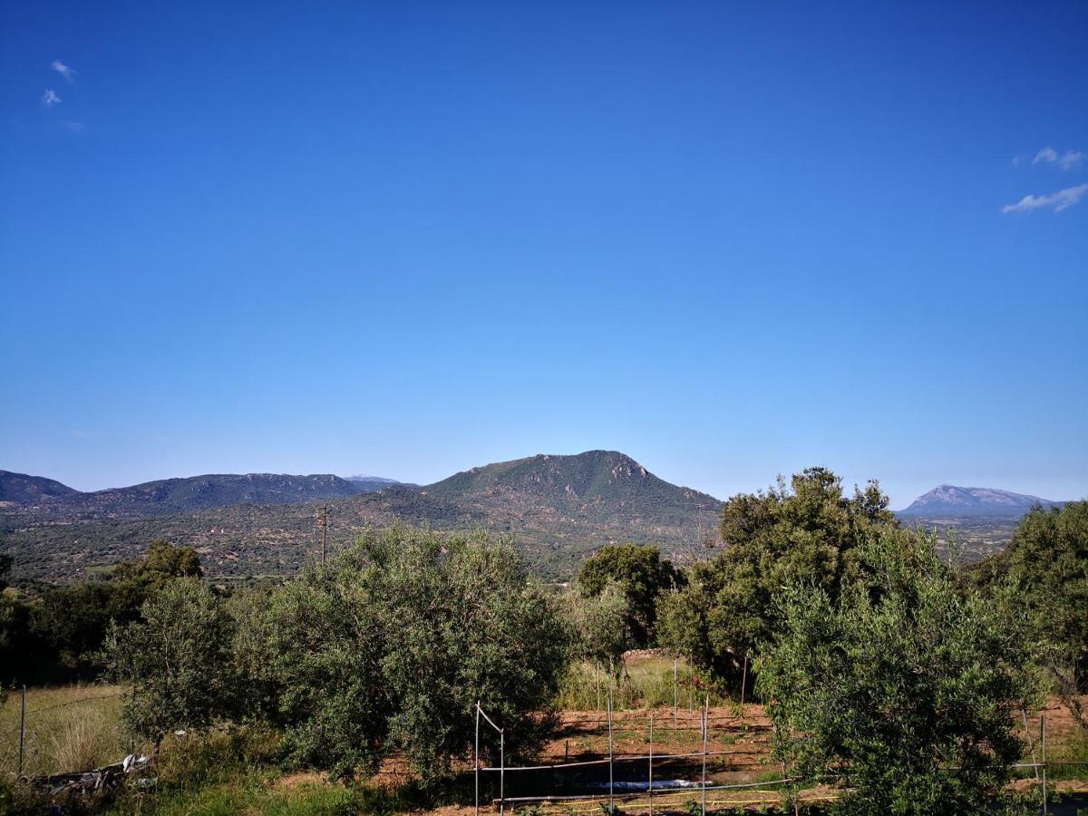 Villa Sa Pruna Oliena Exterior photo