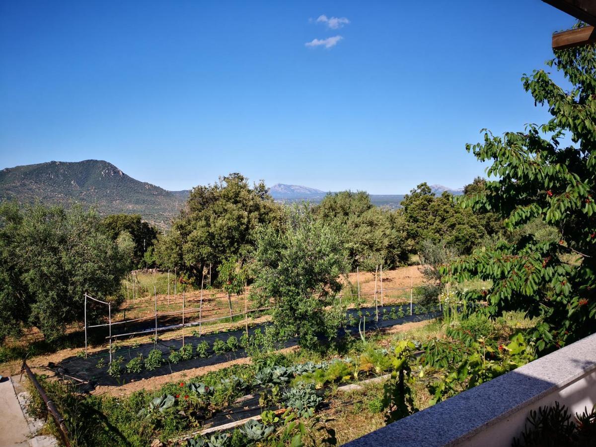Villa Sa Pruna Oliena Exterior photo